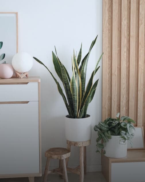 Siska Kohl's Bedroom